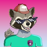 Raccoon Squad Club